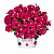 Петуния Surprise Sparkling Red