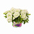 Петуния Origami White